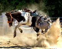 Spencerville Rodeo