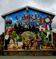 Carp Fair October 2010